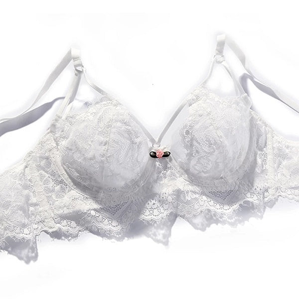 Push Up Brassiere Embroidery Lace Underwear Set Transparent Panties